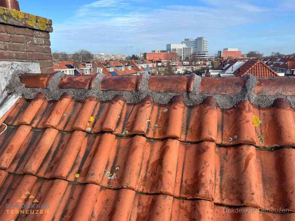 Terneuzen Daken Renoveren Terneuzen Daken Renoveren